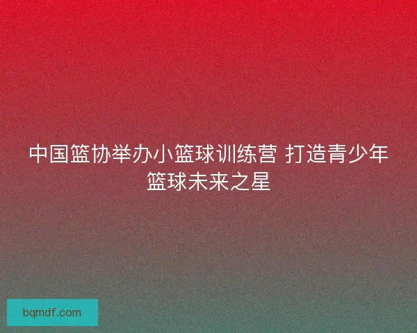 中国篮协举办小篮球训练营 打造青少年篮球未来之星